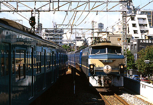 19940918-mizuho.jpg (76327 バイト)