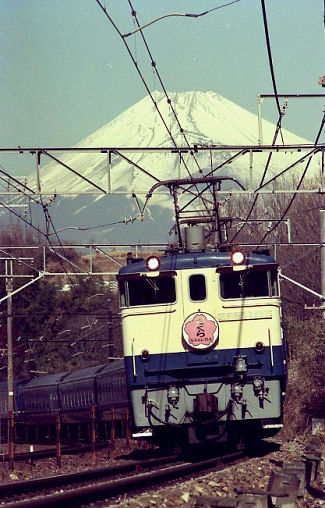 19850225sakura.jpg (57431 バイト)